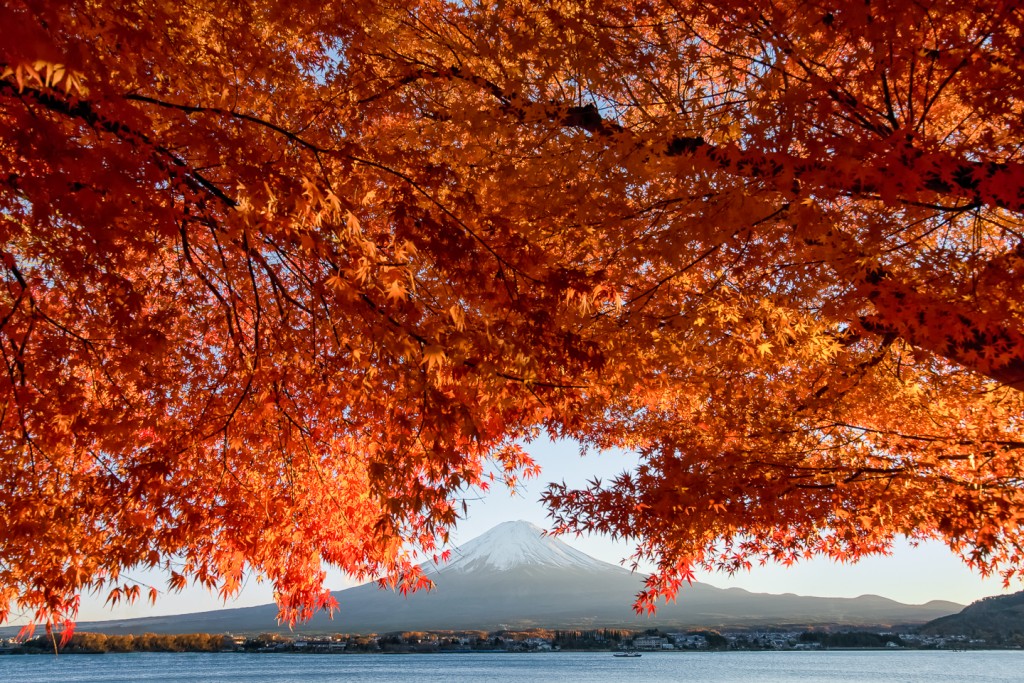 Yuga kurita Mount Fuji Kawaguchiko Photowalk 2014 20140117-_KE297972